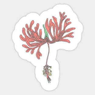 Hibiscus Sticker